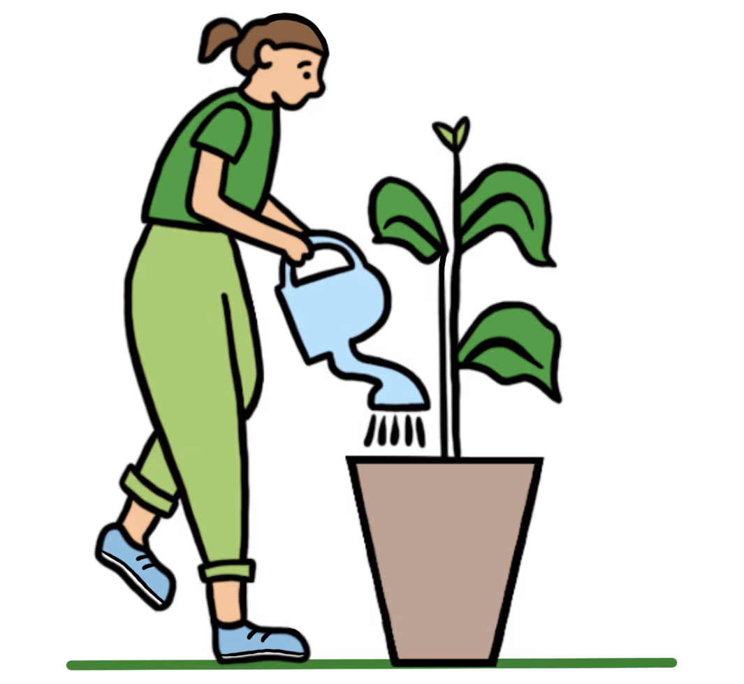 Watering plants with liquid compost